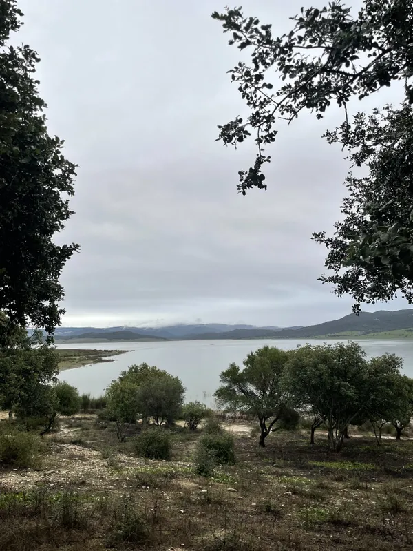 Embalse entre árboles en el Parque Natural Los Alcornocales