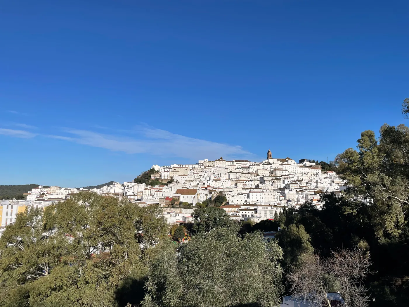 Vista de Alcalá de los Gazules, pueblo blanco de Cádiz